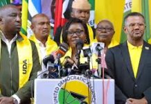 Mbarire: 10 Aspirants in UDA Battle for Ol Kalou MP Ticket