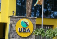 UDA Leads in Nakuru Poll, But Race Remains Wide Open