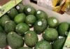First Kenyan Avocado Export Arrives In China As Zero-Tariff Policy Takes Effect
