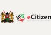 Treasury Proposes New eCitizen Transaction Charges For Government Services