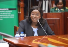 Kenya Pushes for Community Benefits in Climate Projects and Regional Green Partnerships Kenya Pushes for Community Benefits in Climate Projects and Regional Green Partnerships