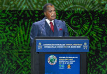 Republic of Congo Announces Visa-Free Entry for Africans From 2027 congo
