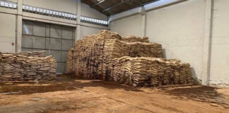 MPs Raise Alarm Over Safety of Ksh1.5 Billion Sugar Consignment MPs Raise Alarm Over Safety of Ksh1.5 Billion Sugar Consignment