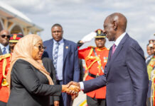 Ruto pledges stronger Kenya-Tanzania ties after State visit