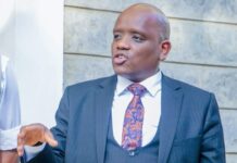 Government Boosts Creative Industry With Payouts and Copyright Reforms