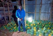 NPS Arrests Suspect Over Stolen Pineapples in Murang’a