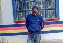 Suspect Arrested as Operation on Illicit Brews Continues in Vihiga County