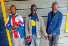 Three People Arrested for Possessing Elephant Tusks in Laikipia