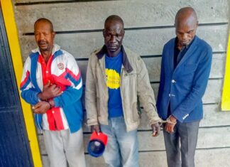 Three People Arrested for Possessing Elephant Tusks in Laikipia