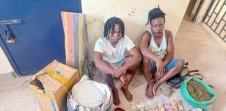 Two Suspected Drug Traffickers Arrested in Kilifi as Police Seize Bhang Consignment