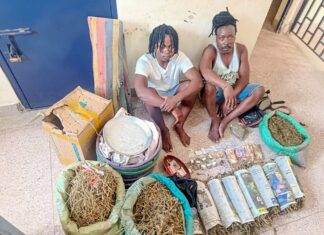 Two Suspected Drug Traffickers Arrested in Kilifi as Police Seize Bhang Consignment