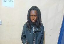 Multi-Agency Crackdown on Narcotics and Illicit Brews Intensifies in Central Kenya