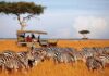 President Ruto’s Global Engagements Are Delivering for Kenya’s Tourism Industry