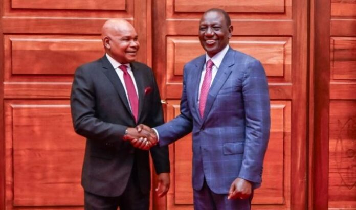 Makau Mutua, Ruto