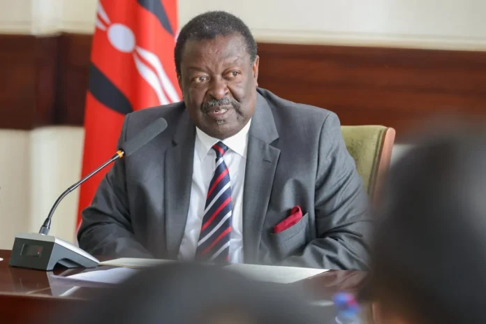 Mudavadi 3