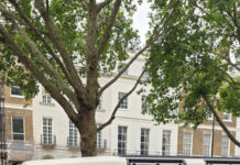 Kenyan Duo Complete Historic 45,470km Road Trip from Nairobi to London