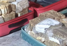 EACC Recovers KSh65 Million in Cash During Raid on Nairobi Planning Chief’s Home EACC Recovers KSh65 Million in Cash During Raid on Nairobi Planning Chief’s Home