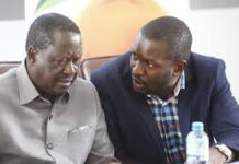 Sifuna Dropped From Senate Energy Committee in Fresh Committee Shake-Up