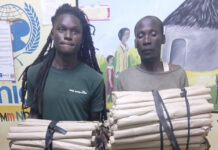 Two Arrested as Police Seize 114 Rolls of Cannabis in Migori