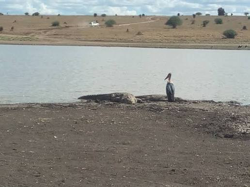 image Tsavo East National Park