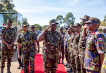 Ruto Reshuffles KDF Leadership in New Round of Promotions and Appointments Ruto Reshuffles KDF Leadership in New Round of Promotions and Appointments