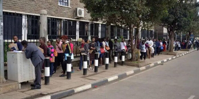 image Government Agencies Advertise 260 Jobs in Fresh Recruitment Drive