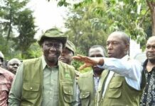 Government targets billion trees in forestry drive