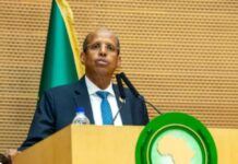 African Union Condemns Houthi Attacks on Commercial Shipping in the Red Sea