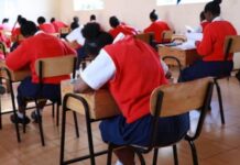KUCCPS Reveals Subjects Holding Students Back
