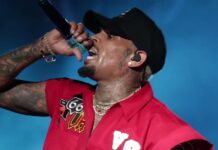 Chris Brown Ordered To Pay $13 Million After Housekeeper Dog Attack