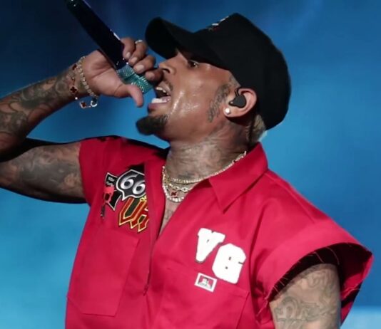 Chris Brown Ordered To Pay $13 Million After Housekeeper Dog Attack