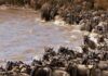 Kenya is Ready to Welcome Peak Tourist Arrivals as July-August Season Begins