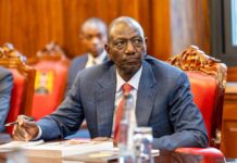 President Ruto Receives Progress Brief on Kenya Home of Human Origins Museum Project