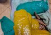 Police Arrest Two Drug Traffickers, Seize KSh169,500 Worth of Cannabis in Busia