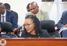 Diaspora Affairs PS Njogu Highlights Clean Audit Record, Evacuation Efforts Before PAC