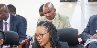Diaspora Affairs PS Njogu Highlights Clean Audit Record, Evacuation Efforts Before PAC