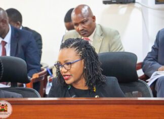 Diaspora Affairs PS Njogu Highlights Clean Audit Record, Evacuation Efforts Before PAC