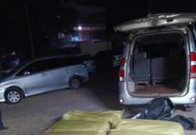 Three Men Nabbed as Detectives Confiscate KSh 8M Cannabis in Athi River