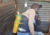 Two Suspects Arrested as Police Seize Sh417,000 Worth of Cannabis at Busia–Kisumu Roadblock