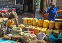 Police Seize 560 Litres of Chang’aa, Cannabis in Vihiga Crackdown