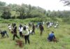 Forestry PS Defends Budget Use Before MPs, Highlights Progress in 15 Billion Tree Campaign