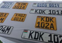 Senator Pushes NTSA to Expand Number Plate Production as Delays Frustrate Motorists
