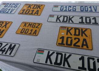 Senator Pushes NTSA to Expand Number Plate Production as Delays Frustrate Motorists
