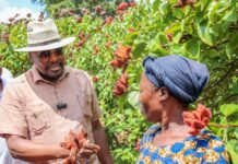 CS Kagwe unveils plan to double bixa production, create thousands of Coast jobs