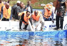 Government Targets Three Harvests a Year as It Moves to Revive 150 Dams in Nyandarua