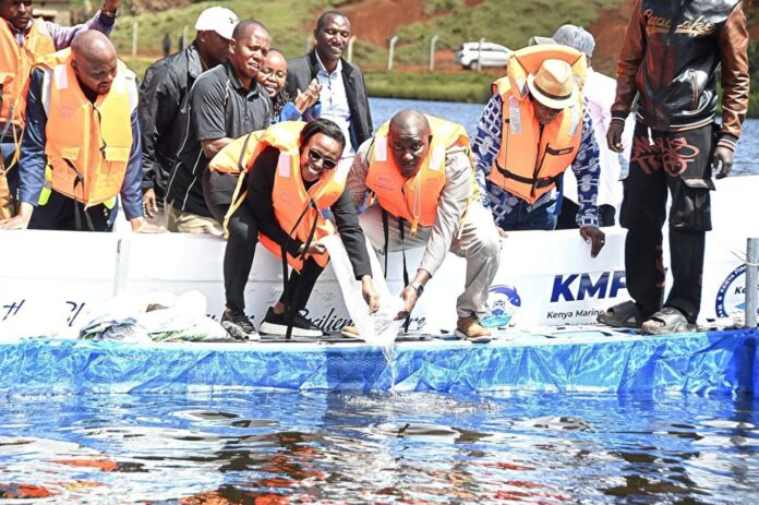 Kimotho fishing 2