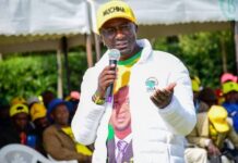 ‘I Will Win,’ UDA’s Muchina Nyaga Declares