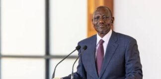 Ruto Tops 2027 Race as Kalonzo Comes Second in New Poll