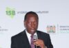 Government targets billion trees in forestry drive