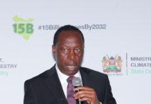 Government targets billion trees in forestry drive